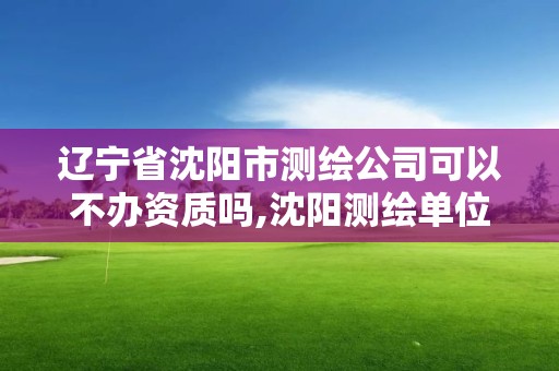 辽宁省沈阳市测绘公司可以不办资质吗,沈阳测绘单位排名。