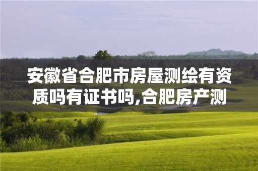 安徽省合肥市房屋测绘有资质吗有证书吗,合肥房产测绘公司排名。