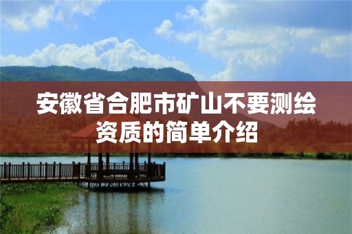 安徽省合肥市矿山不要测绘资质的简单介绍