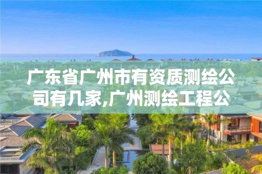 广东省广州市有资质测绘公司有几家,广州测绘工程公司。