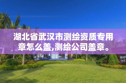 湖北省武汉市测绘资质专用章怎么盖,测绘公司盖章。