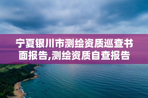 宁夏银川市测绘资质巡查书面报告,测绘资质自查报告。