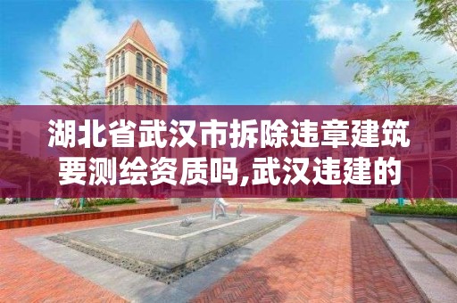 湖北省武汉市拆除违章建筑要测绘资质吗,武汉违建的认定。