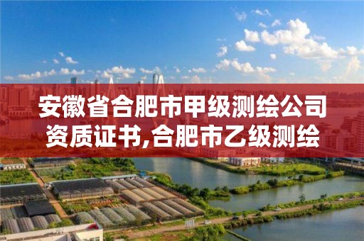 安徽省合肥市甲级测绘公司资质证书,合肥市乙级测绘公司。