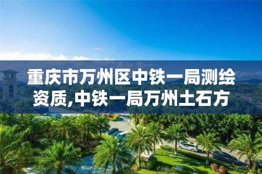 重庆市万州区中铁一局测绘资质,中铁一局万州土石方项目。