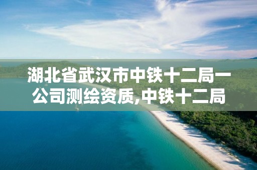 湖北省武汉市中铁十二局一公司测绘资质,中铁十二局武汉分公司。