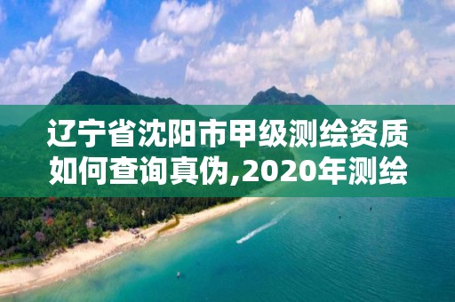 辽宁省沈阳市甲级测绘资质如何查询真伪,2020年测绘甲级资质条件。