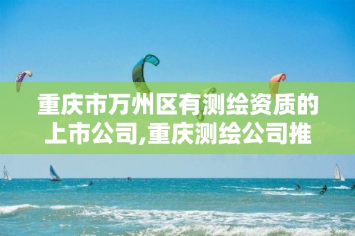 重庆市万州区有测绘资质的上市公司,重庆测绘公司推荐。