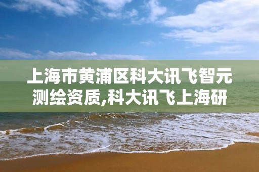 上海市黄浦区科大讯飞智元测绘资质,科大讯飞上海研发中心。