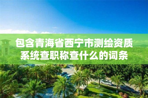 包含青海省西宁市测绘资质系统查职称查什么的词条