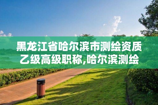 黑龙江省哈尔滨市测绘资质乙级高级职称,哈尔滨测绘勘察研究院怎么样。