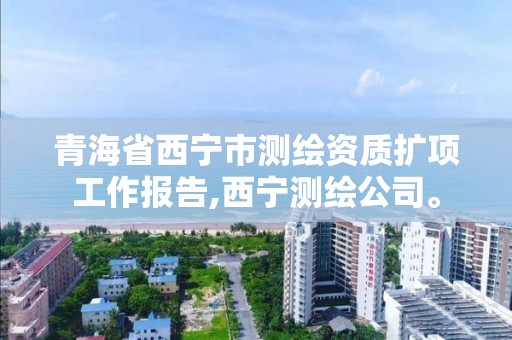 青海省西宁市测绘资质扩项工作报告,西宁测绘公司。