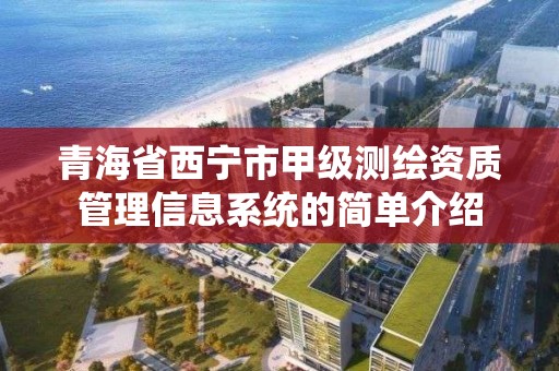 青海省西宁市甲级测绘资质管理信息系统的简单介绍