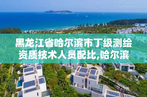 黑龙江省哈尔滨市丁级测绘资质技术人员配比,哈尔滨测绘地理信息局招聘公告。