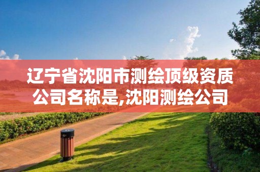 辽宁省沈阳市测绘顶级资质公司名称是,沈阳测绘公司招聘信息最新招聘。