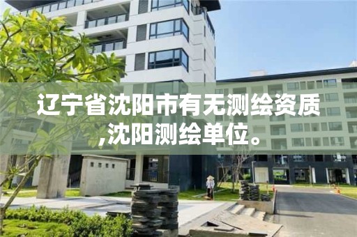 辽宁省沈阳市有无测绘资质,沈阳测绘单位。