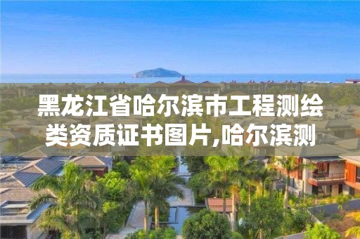 黑龙江省哈尔滨市工程测绘类资质证书图片,哈尔滨测绘公司有哪些。