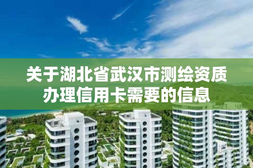 关于湖北省武汉市测绘资质办理信用卡需要的信息