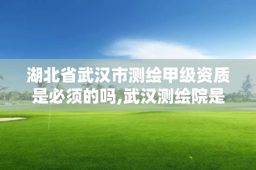 湖北省武汉市测绘甲级资质是必须的吗,武汉测绘院是什么级别。