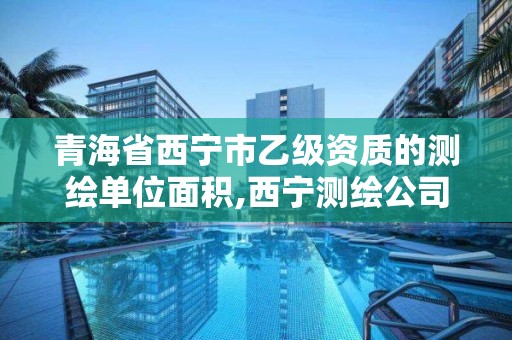 青海省西宁市乙级资质的测绘单位面积,西宁测绘公司有哪些。