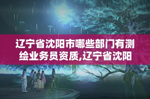 辽宁省沈阳市哪些部门有测绘业务员资质,辽宁省沈阳市哪些部门有测绘业务员资质的。