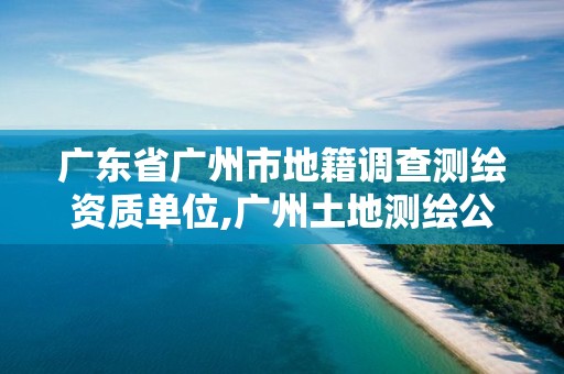 广东省广州市地籍调查测绘资质单位,广州土地测绘公司。