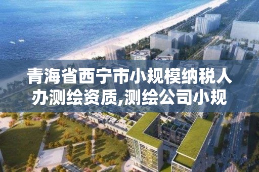 青海省西宁市小规模纳税人办测绘资质,测绘公司小规模纳税人报税。