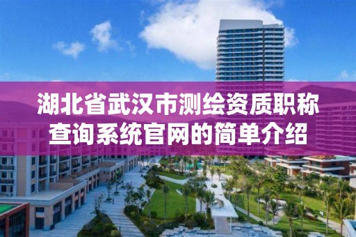 湖北省武汉市测绘资质职称查询系统官网的简单介绍