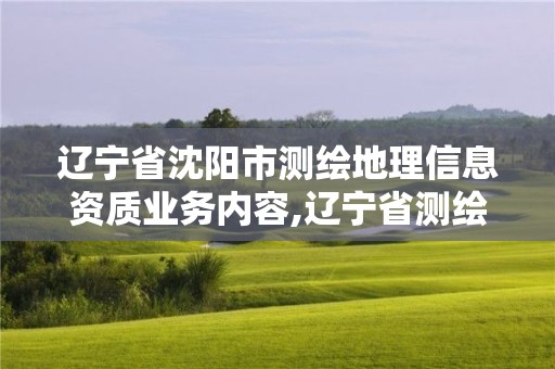 辽宁省沈阳市测绘地理信息资质业务内容,辽宁省测绘地理信息局招聘。