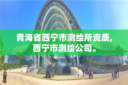 青海省西宁市测绘所资质,西宁市测绘公司。