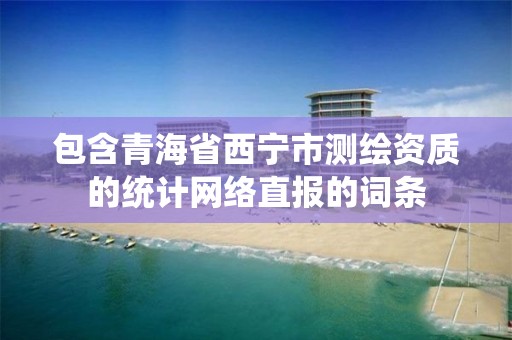 包含青海省西宁市测绘资质的统计网络直报的词条