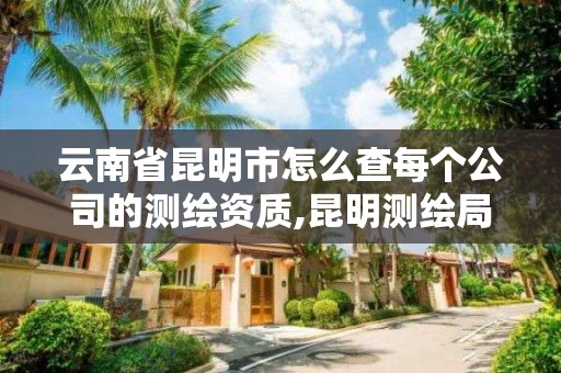 云南省昆明市怎么查每个公司的测绘资质,昆明测绘局官网。