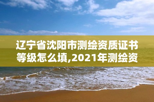 辽宁省沈阳市测绘资质证书等级怎么填,2021年测绘资质。