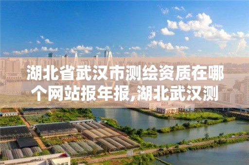 湖北省武汉市测绘资质在哪个网站报年报,湖北武汉测绘公司排行榜。