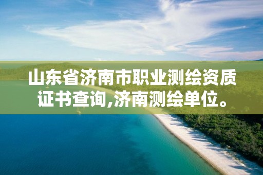 山东省济南市职业测绘资质证书查询,济南测绘单位。