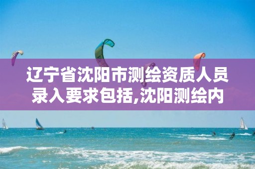 辽宁省沈阳市测绘资质人员录入要求包括,沈阳测绘内业招聘。