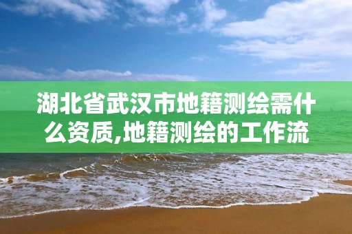 湖北省武汉市地籍测绘需什么资质,地籍测绘的工作流程是什么?。