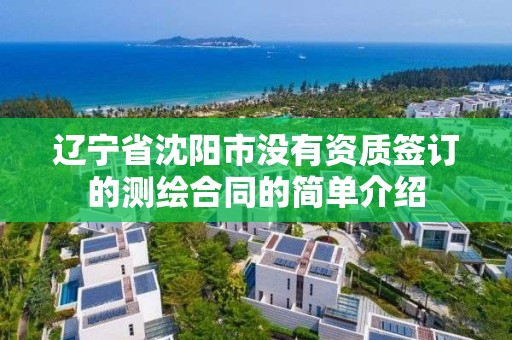 辽宁省沈阳市没有资质签订的测绘合同的简单介绍