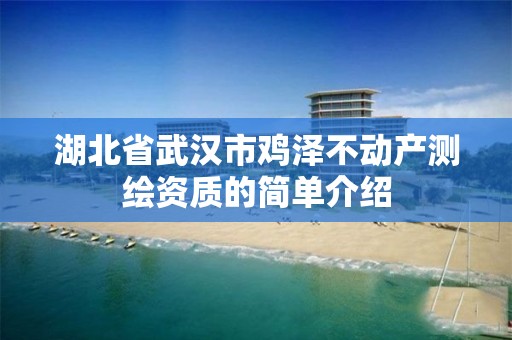 湖北省武汉市鸡泽不动产测绘资质的简单介绍