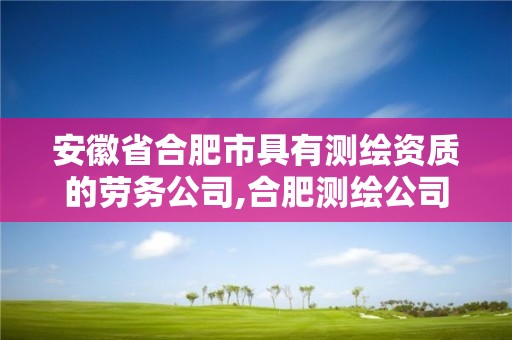 安徽省合肥市具有测绘资质的劳务公司,合肥测绘公司有哪些。