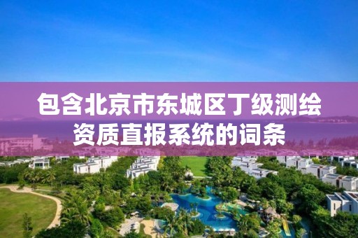 包含北京市东城区丁级测绘资质直报系统的词条