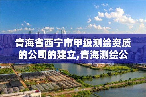 青海省西宁市甲级测绘资质的公司的建立,青海测绘公司成员名单。