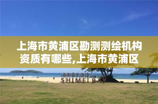 上海市黄浦区勘测测绘机构资质有哪些,上海市黄浦区勘测测绘机构资质有哪些公司。