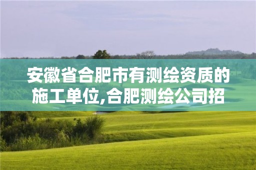 安徽省合肥市有测绘资质的施工单位,合肥测绘公司招聘。