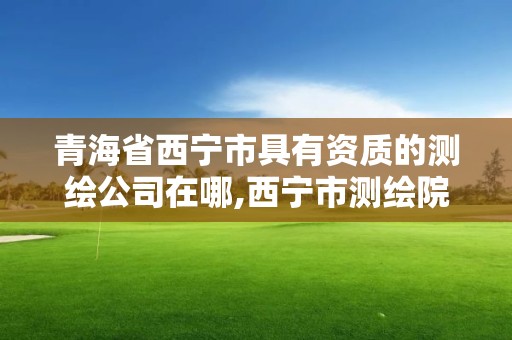 青海省西宁市具有资质的测绘公司在哪,西宁市测绘院在哪里。