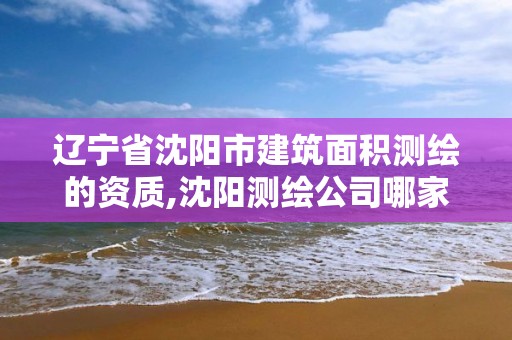 辽宁省沈阳市建筑面积测绘的资质,沈阳测绘公司哪家强哪家好。