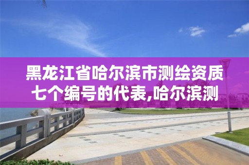 黑龙江省哈尔滨市测绘资质七个编号的代表,哈尔滨测绘局是干什么的。