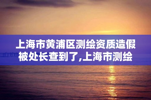 上海市黄浦区测绘资质造假被处长查到了,上海市测绘产品质量。