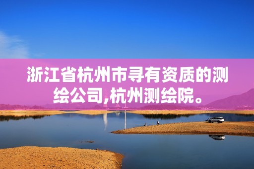 浙江省杭州市寻有资质的测绘公司,杭州测绘院。