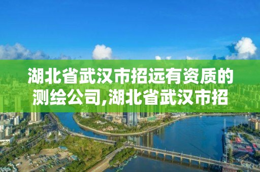 湖北省武汉市招远有资质的测绘公司,湖北省武汉市招远有资质的测绘公司吗。